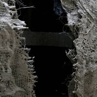 Koenraad Ecker - Raw Materials