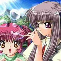 Sayako - ᎮᏬᏰᏝᎥፈ ᏕᏬᎷᎷᏋᏒ ᏰᏗᏖᏂ ᏕᎮᏗ