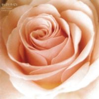 サニーデイ・サービス [Sunny Day Service] - BEST FLOWER - B SIDE COLLECTION -