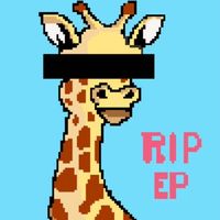 Baby Giraffes - RIP EP