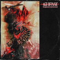 Age Of Panic - Fragments & Reflections