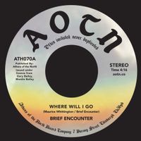 The Brief Encounter - Where Will I Go