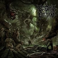 Cerebral Effusion - Ominous Flesh Discipline