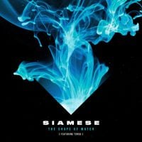 Siamese - The Shape of Water
