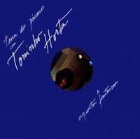 Toninho Horta - Terra dos P&aacute;ssaros