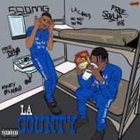 Soulja Boy - LA County