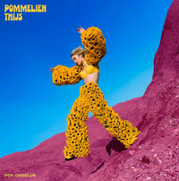 Pommelien Thijs - Per Ongeluk