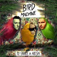 DJ Snake - Bird Machine