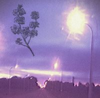 Stygian Love - Flowers fade