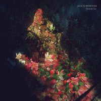 Jack Northover - Tasman Sea
