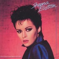 Sheena Easton - You Could Have Been with Me