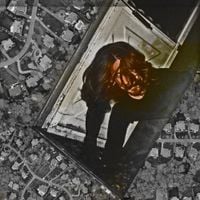 Phyllomedusa - Suburban Pest​(​s)