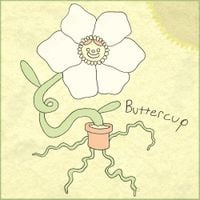nelward - buttercup