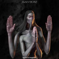 Mutebody - Matters of Proportion
