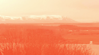 Pinkpompeii - In the Wake of the Red Mist