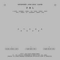 SEVENTEEN - FML