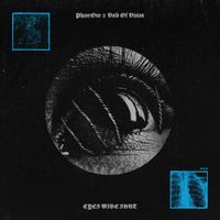 Void of Vision - Eyes Wide Shut