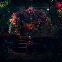 Tomi Marfă - Floralia