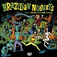 Various Artists - Brazilian Nuggets - Back from the Jungle Volume 1