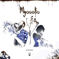 Myosotis - Distance