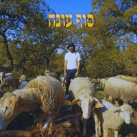 Vadim Mechona - סוף עונה