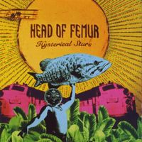 Head of Femur - Hysterical Stars