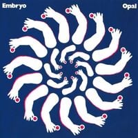 Embryo - Opal