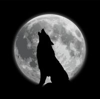 ASHYWUFF! - SKYWALKING