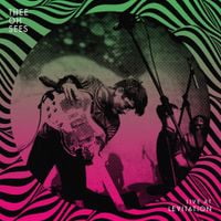Osees - Live at Levitation (2012)