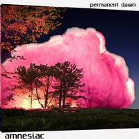 Amnesiac - Permanent Dawn