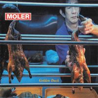Moler - Golden Duck