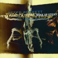 Peter Perrett - Woke Up Sticky