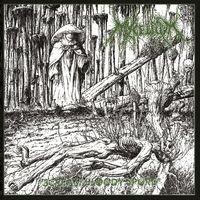 Mycelium - Scream Bloody Spore
