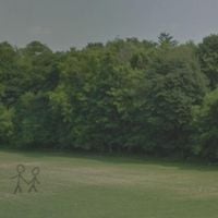 lieu - litter