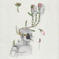 &oslash;jeRum - Coiled Souls