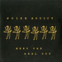Noise Addict - Meet The Real You