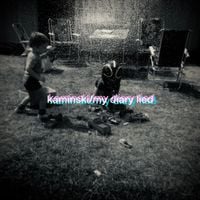 Kaminski - My Diary Lied