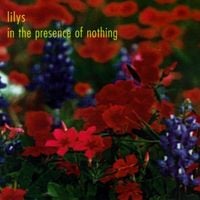 Lilys - In the Presence of Nothing
