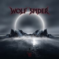 Wolf Spider - VI