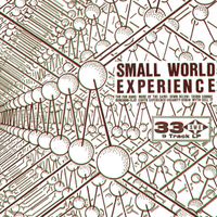Small World Experience - Too Far Gone To Sell It