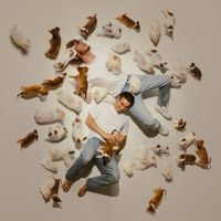 BABY GRAVY - Baby Gravy 3