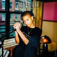 WILLOW - WILLOW: Live At Electric Lady