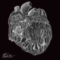 Ecdysis - Hex