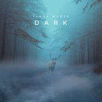LLUVA - DARK