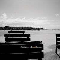 Pat D & Lady Paradox - Soulscapes & Jazz Breaks