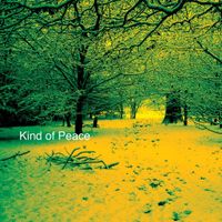 Pat D & Lady Paradox - Kind Of Peace