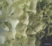 Pola - M&ecirc;me