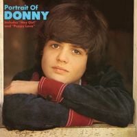 Donny Osmond - Portrait of Donny