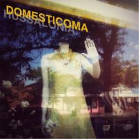 Hussalonia - Domesticoma