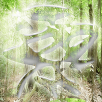 2hollis - tree